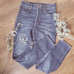 Express High Waist Denim - Size 6R (US)